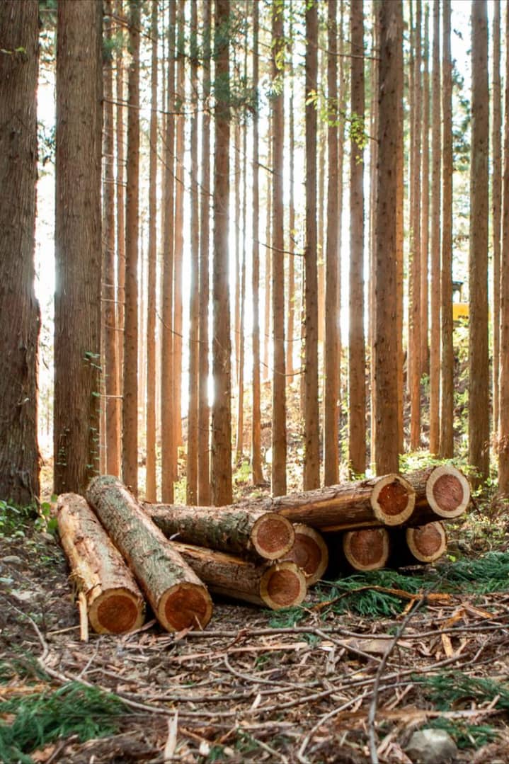 6 Types of Wood Manufacturing Methods