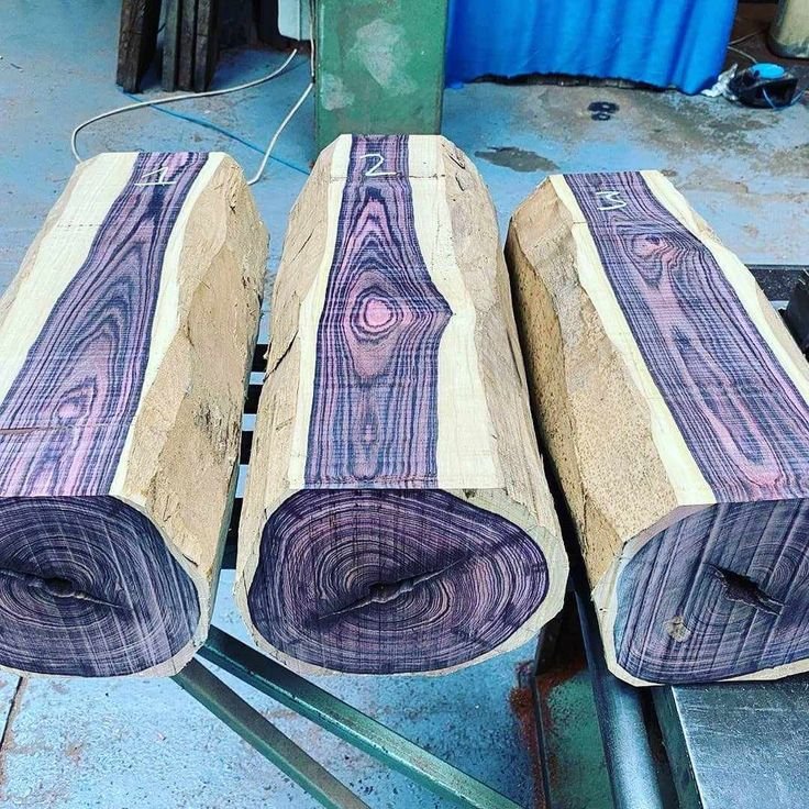 What does NEBU TIMBER (HATC)’s manufacturing plant in Cameroon have?