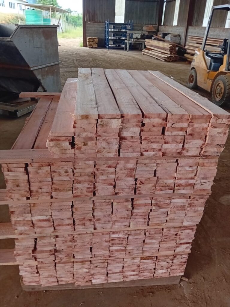 Eucalyptus
