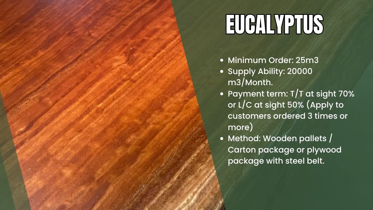 Eucalyptus wood timber