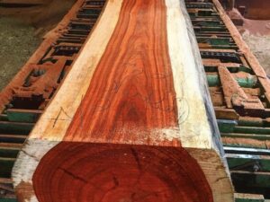 European hardwood board showing natural grain pattern