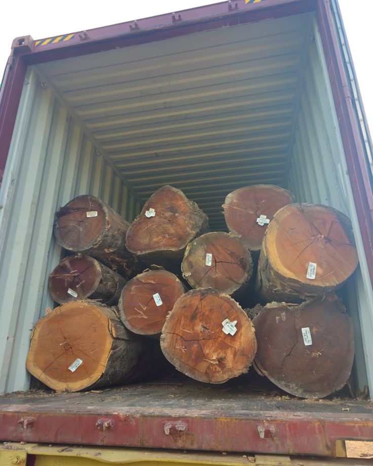 European hardwood board showing natural grain pattern