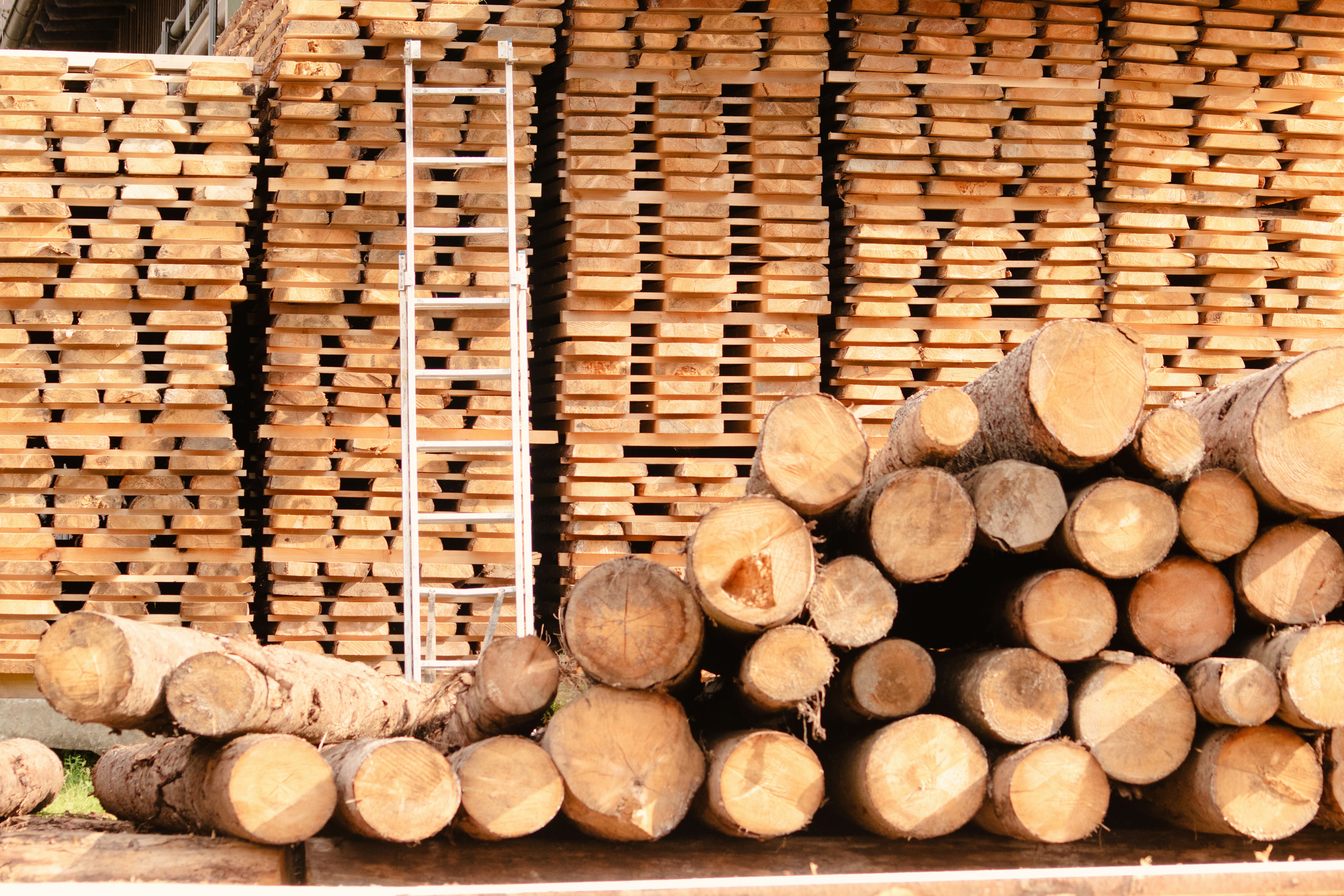 European hardwood board showing natural grain pattern