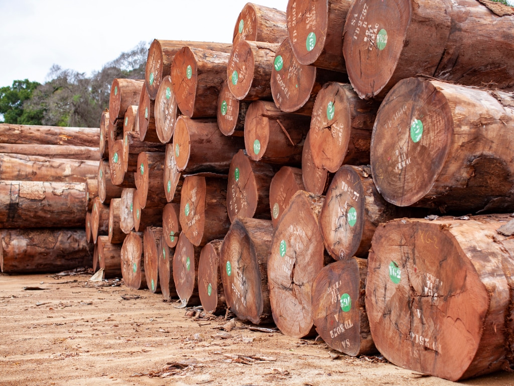tips-to-find-african-hardwood-suppliers