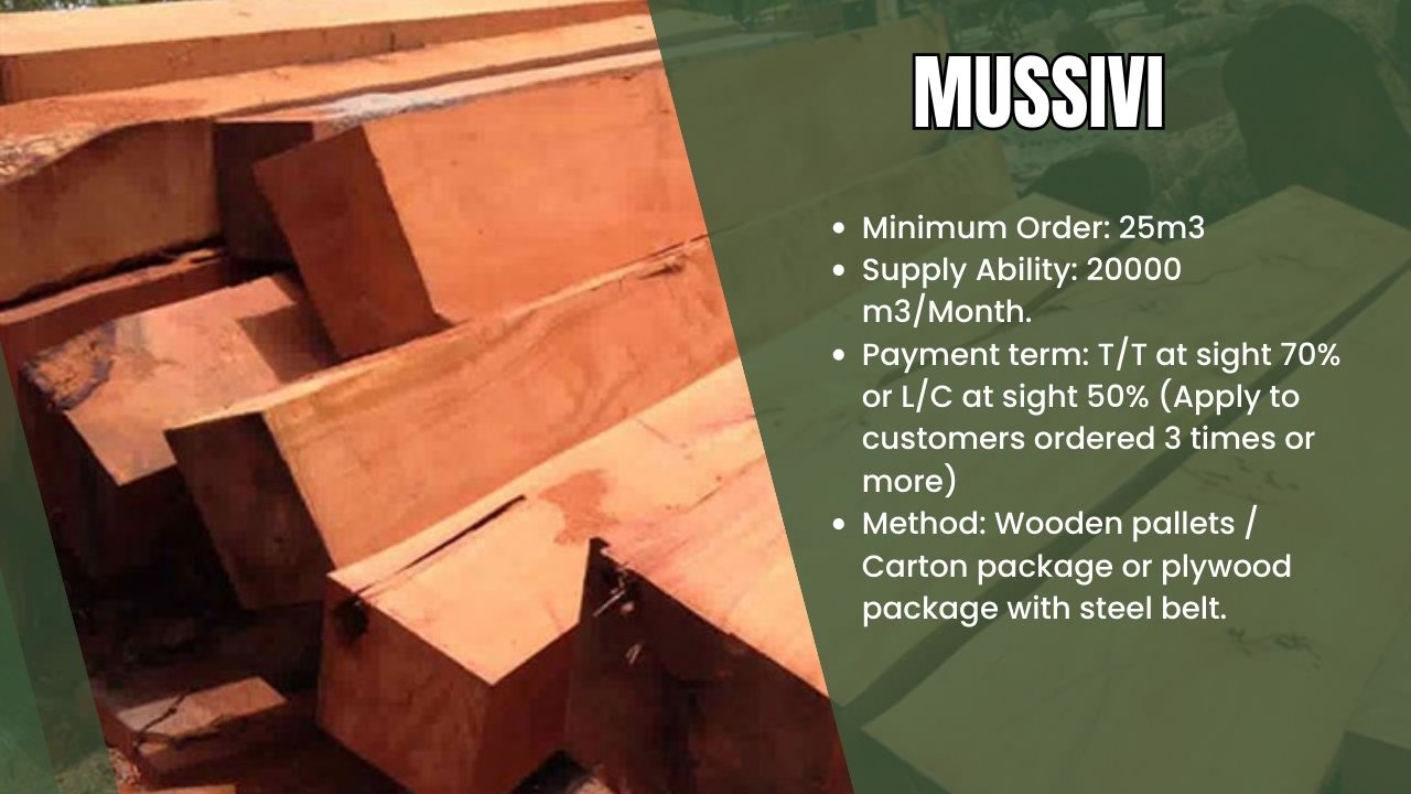 mussivi