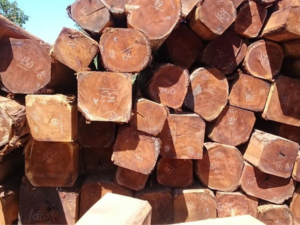 Mukulungu wood