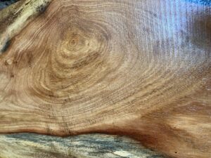 Pachyloba wood timber