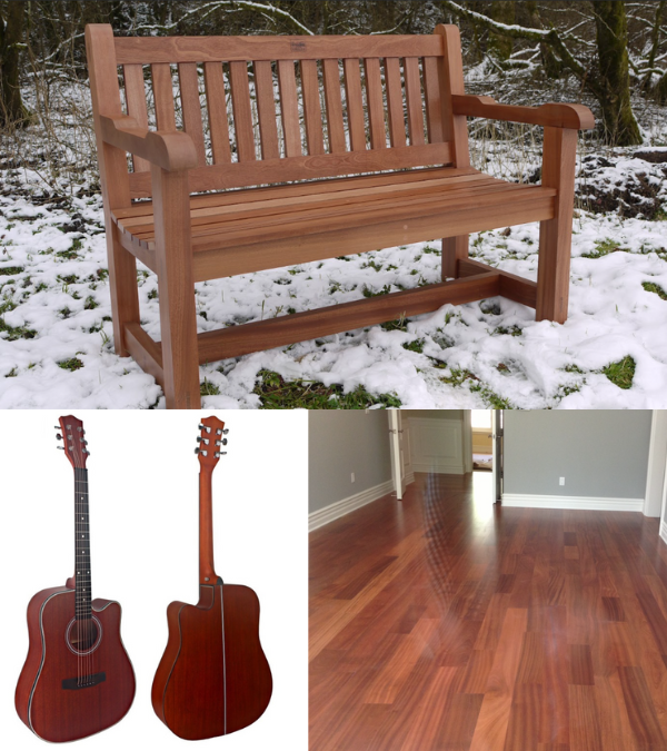 Sapele