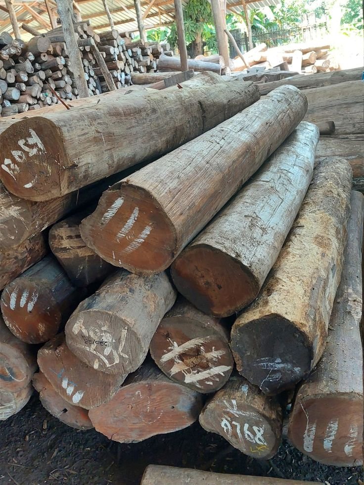 Acajou D’afrique Wood: Properties, Characteristics & Uses