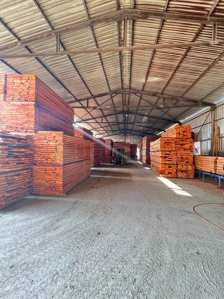 African Timber Market: Scams in Wood Purchasing Documentation