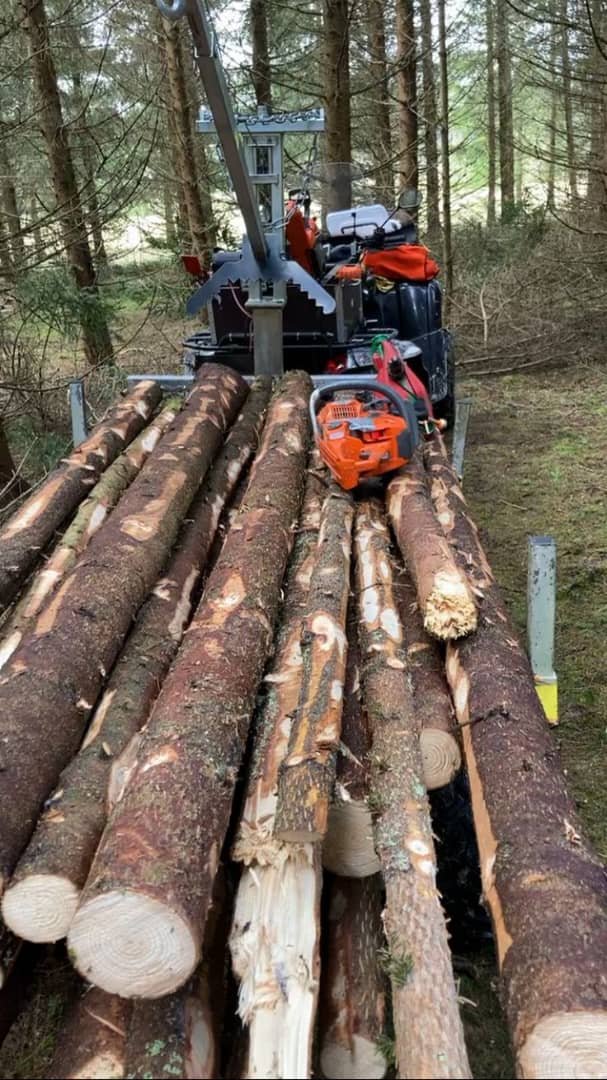 5 Factors To Consider When Choosing An Cameroon Wood Supplier