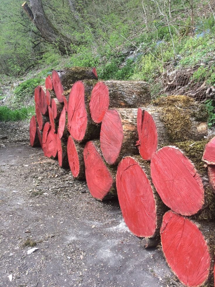 Nebu Timber Operations