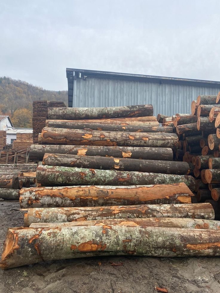 6 Types of Lumber Used in Pole Barn Construction