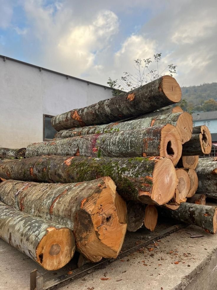 6Ps of Employee Welfare Policies at HATC (Nebu Timber)